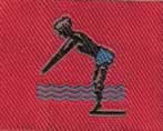 Swimmer Badge